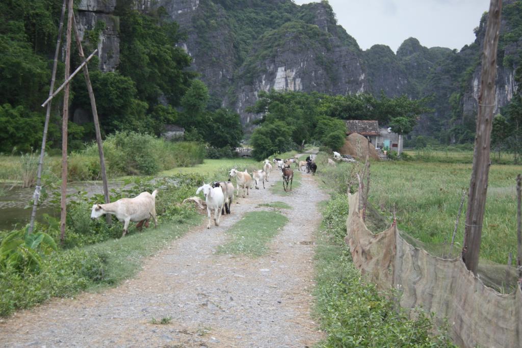 Ninh Binh Valley Homestay Exterior photo